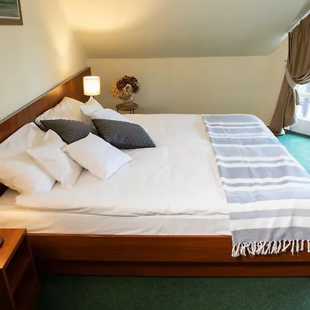Hotel Zsanett 3*