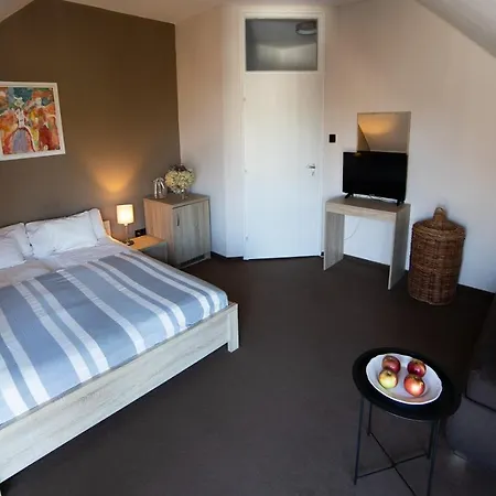 Zsanett Hotel 3*