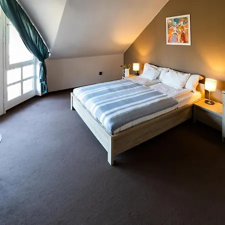 Zsanett Hotell 3*