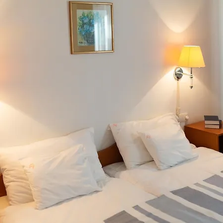 Zsanett Hotell